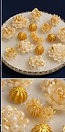 Gold kaktüsler
